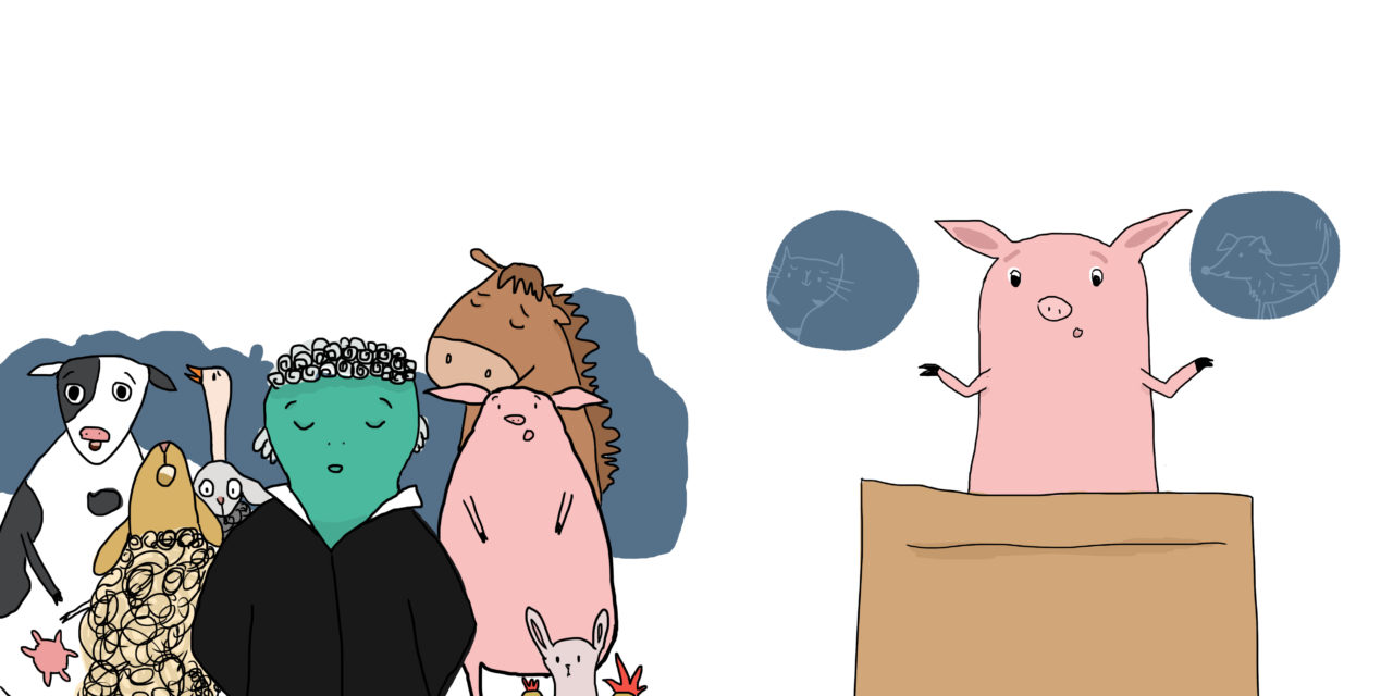 10 ways we can fight for animal rights every  single day