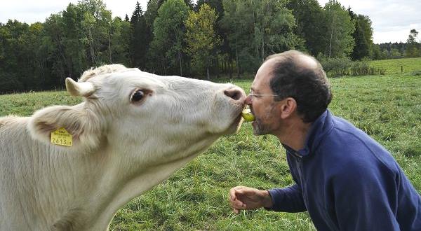 From madness to meaning